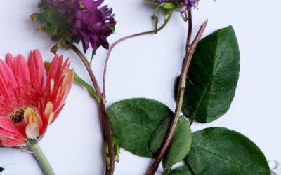 Ist Naturkosmetik wirklich besser?