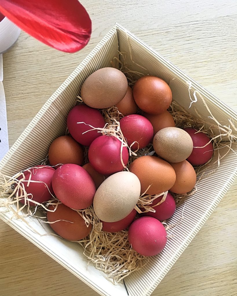 gefärbte Eier in einem Korb