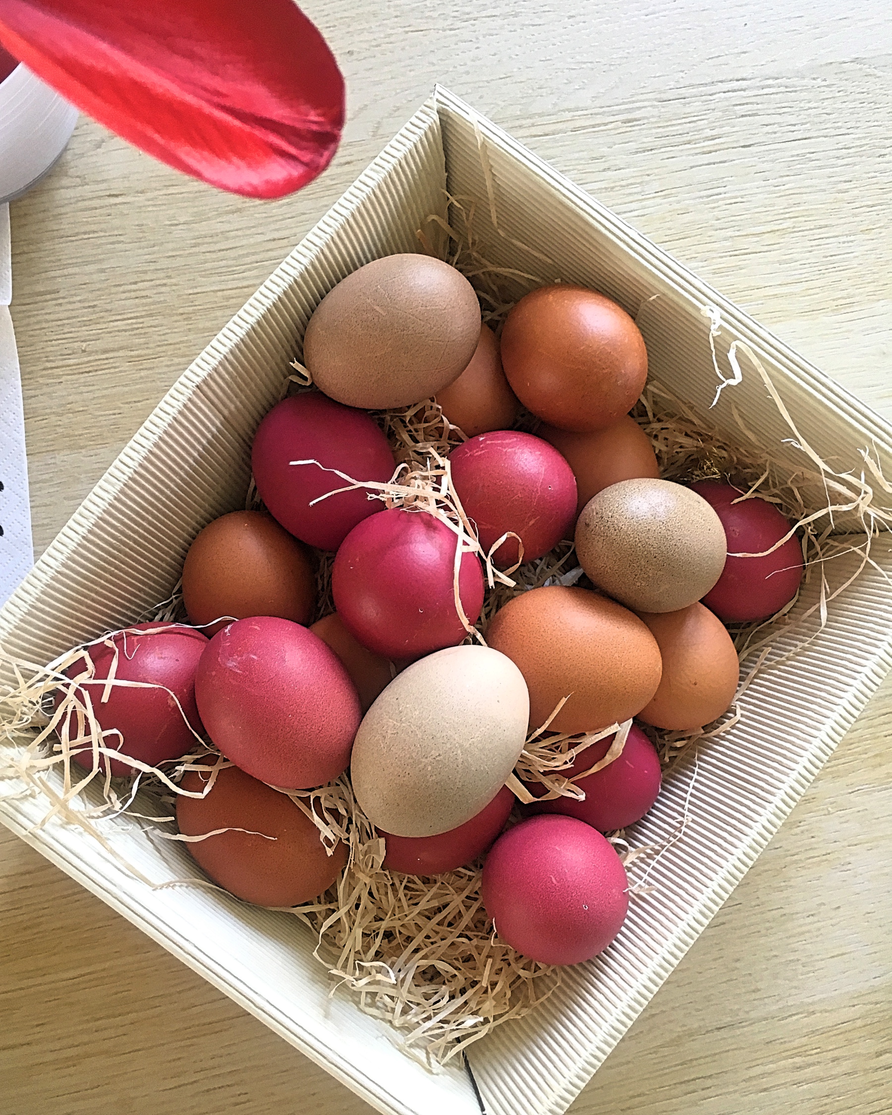 Warum du keine gefärbte Eier kaufen solltest - allmydeer