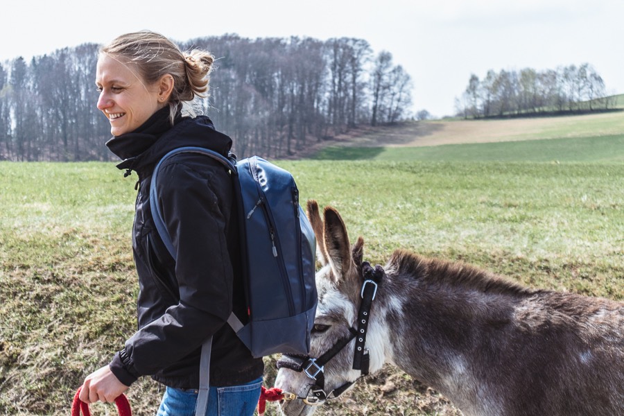 Eselwandern im bayerischen Wald