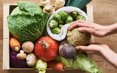 Win­ter­ge­mü­se Liste: 25 hei­mi­sche Gemü­se­sor­ten, die es jetzt saisonal gibt
