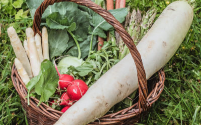 Gemüse & Obst im Frühling – Das gibt es jetzt in Saison