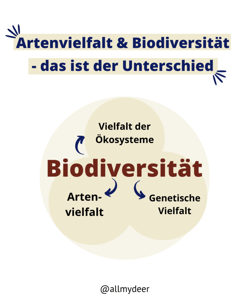 Diese Grafik zeigt, dass Artenvielfalt ein Teil der Biodiversität ist.