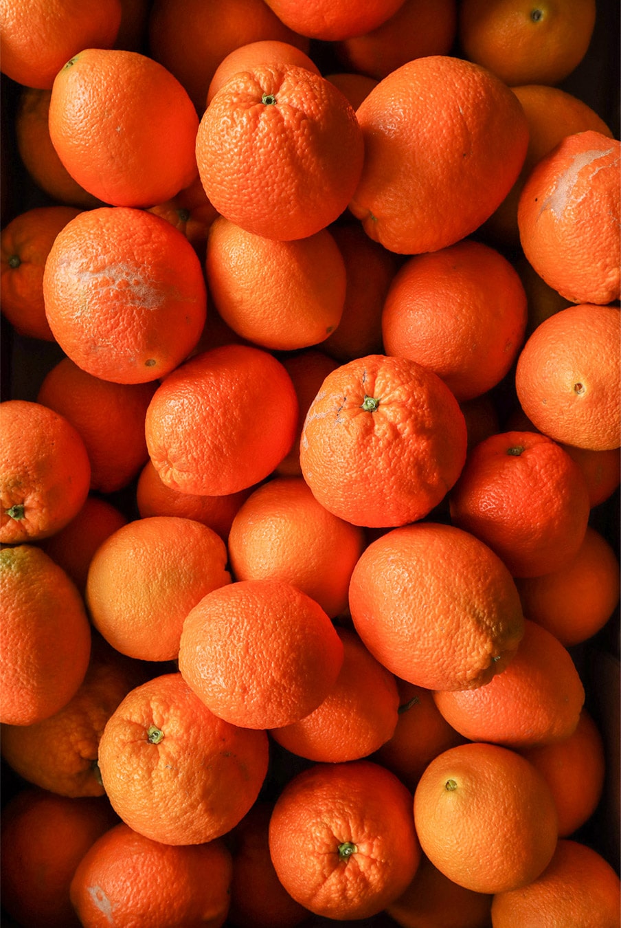 Die vielleicht besten Orangen der Welt!