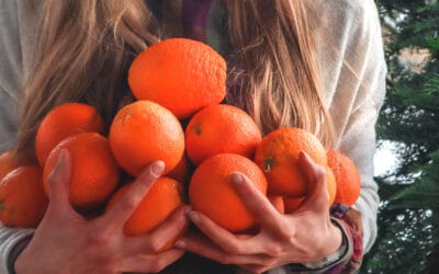 Orangen saisonal genießen — das Crowd-Prinzip macht‘s möglich!