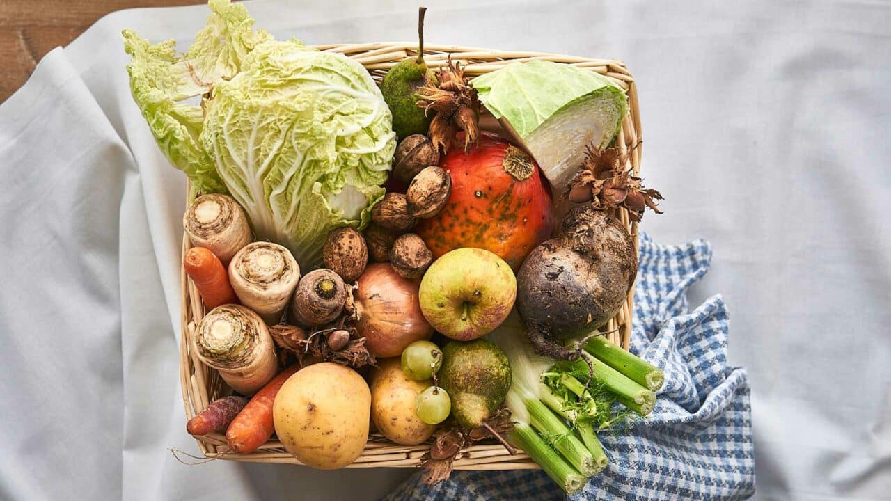 Saisonkalender Herbst - Gemüse, Obst und Rezepte - allmydeer
