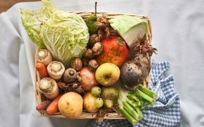 Sai­son­ka­len­der Herbst — Gemüse, Obst und Rezepte