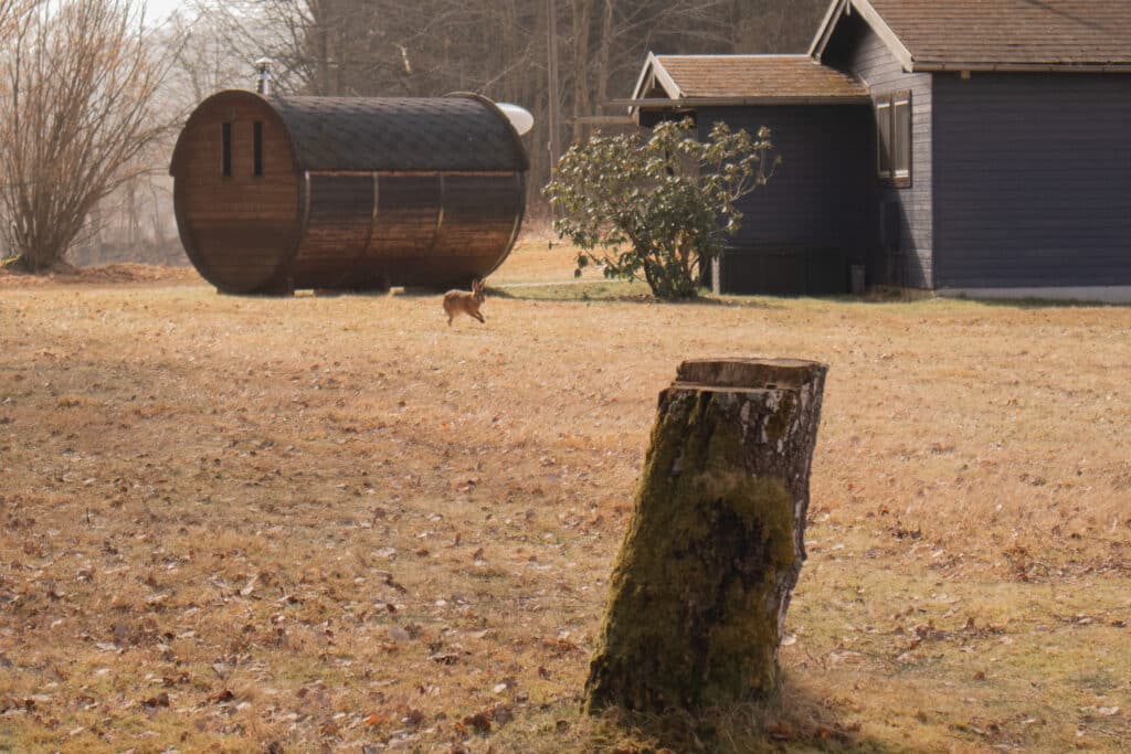 Die BIO HOTELS sind so naturnah, dass sogar ein Hase gern mal vorbeischaut